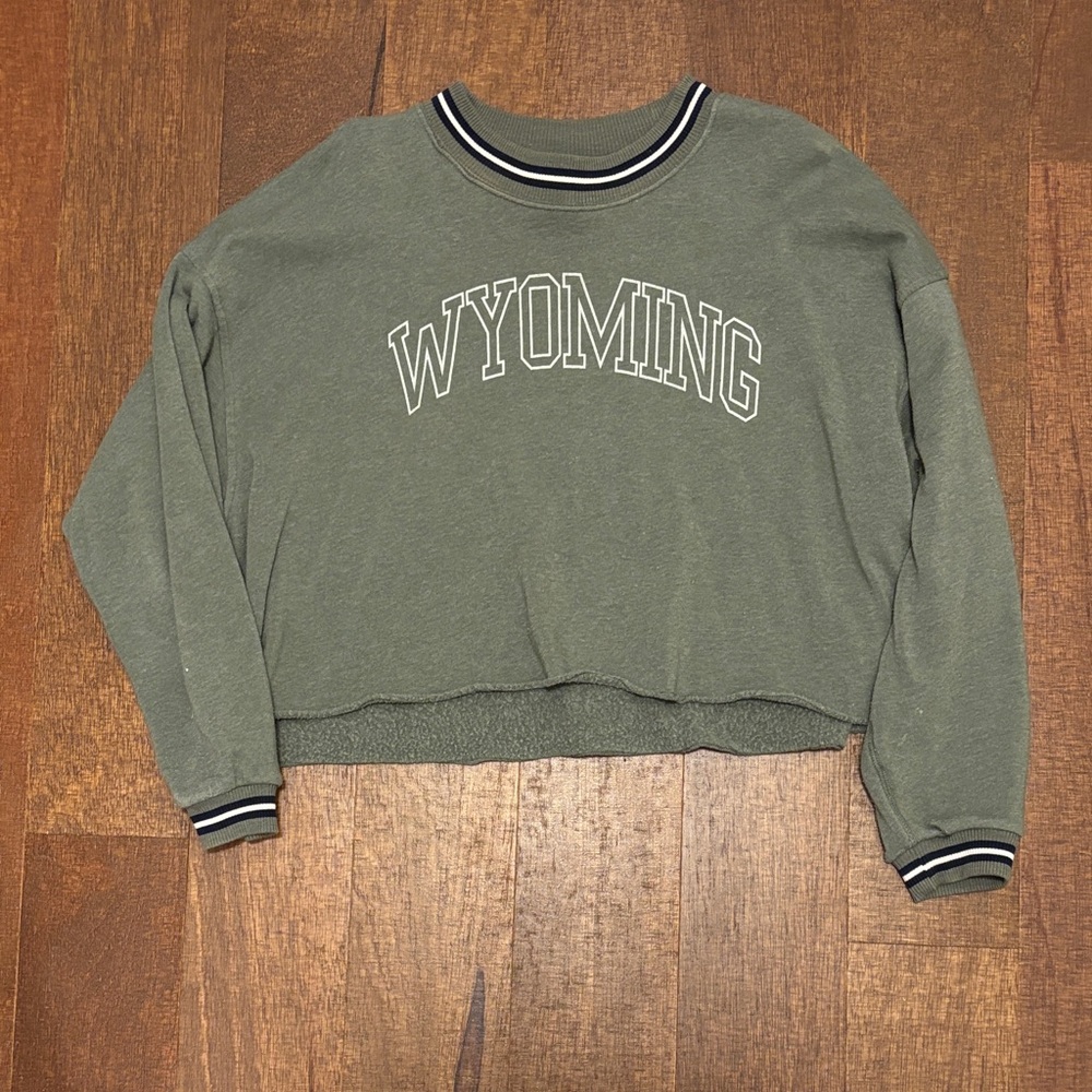 American Eagle Cropped Crewneck
